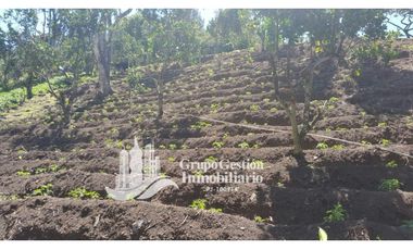 Vendo Finca en Boquete ideal para Cafe o Turismo