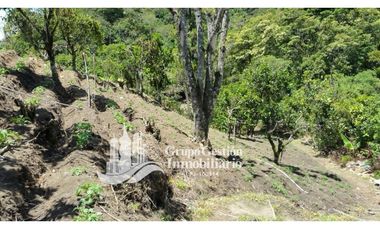 Vendo Finca en Boquete ideal para Cafe o Turismo