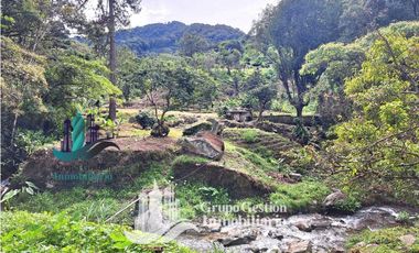 Vendo Finca en Boquete ideal para Cafe o Turismo