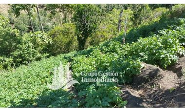 Vendo Finca en Boquete ideal para Cafe o Turismo
