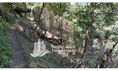Vendo Finca en Boquete ideal para Cafe o Turismo