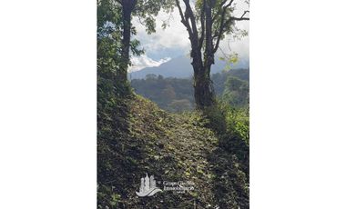 Vendo Finca en Boquete ideal para Cafe o Turismo
