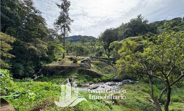 Vendo Finca en Boquete ideal para Cafe o Turismo