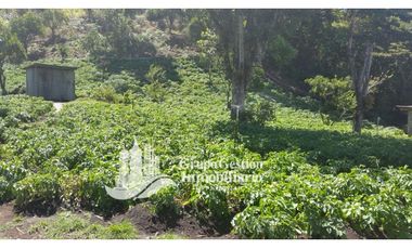 Vendo Finca en Boquete ideal para Cafe o Turismo