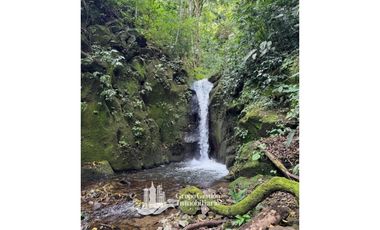 Vendo Finca en Boquete ideal para Cafe o Turismo