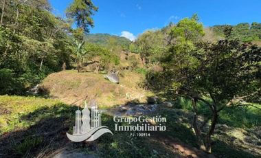 Vendo Finca en Boquete ideal para Cafe o Turismo