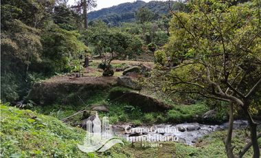 Vendo Finca en Boquete ideal para Cafe o Turismo