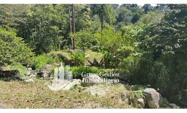 Vendo Finca en Boquete ideal para Cafe o Turismo