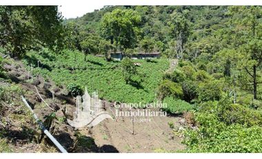 Vendo Finca en Boquete ideal para Cafe o Turismo