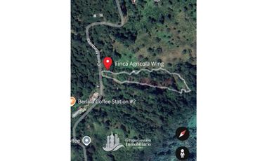 Vendo Finca en Boquete ideal para Cafe o Turismo