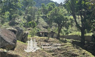 Vendo Finca en Boquete ideal para Cafe o Turismo