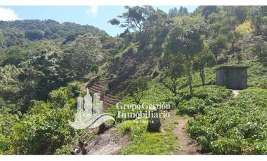 Vendo Finca en Boquete ideal para Cafe o Turismo