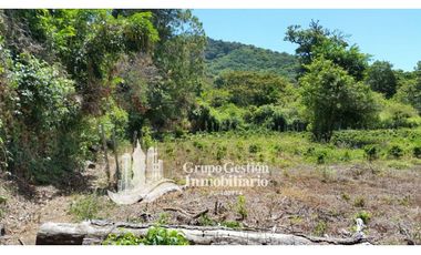 Vendo Finca en Boquete ideal para Cafe o Turismo