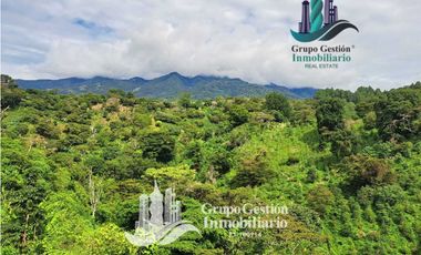 Vendo Finca en Boquete ideal para Cafe o Turismo