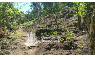 Vendo Finca en Boquete ideal para Cafe o Turismo