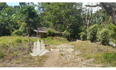 Vendo Finca en Boquete ideal para Cafe o Turismo