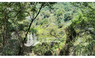 Vendo Finca en Boquete ideal para Cafe o Turismo