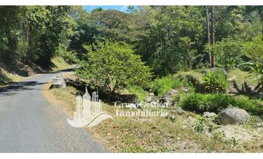 Vendo Finca en Boquete ideal para Cafe o Turismo