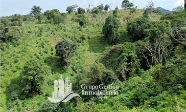 Vendo Finca en Boquete ideal para Cafe o Turismo