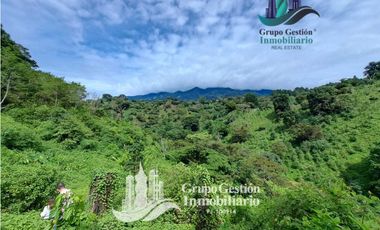Vendo Finca en Boquete ideal para Cafe o Turismo