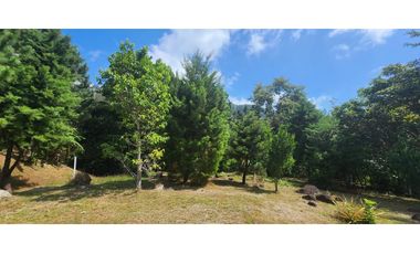 SE VENDE TERRENO EN ALTOS DEL MARIA
