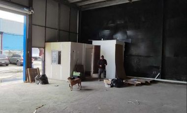 Alquiler de Bodega en Las Mañanitas de Tocumen, Cod-J090