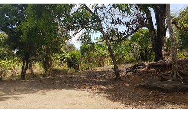 Terreno en venta, Transístmica - Chilibre (Panamá)