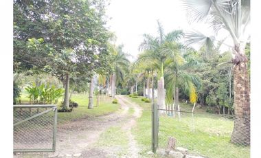Vendo Magnífica Finca en el Mejor Clima del País ARBELAEZ
