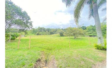 Vendo Magnífica Finca en el Mejor Clima del País ARBELAEZ