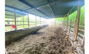 Vendo Magnífica Finca en el Mejor Clima del País ARBELAEZ
