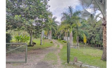 Vendo Magnífica Finca en el Mejor Clima del País ARBELAEZ