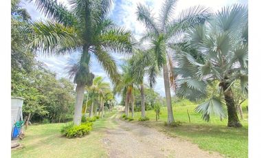 Vendo Magnífica Finca en el Mejor Clima del País ARBELAEZ