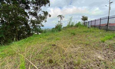 Lote Venta Vía Condina Pereira