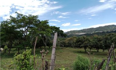 Finca San Pedro Anapoima