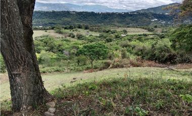 Finca San Pedro Anapoima