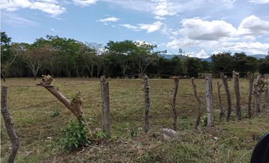 Finca San Pedro Anapoima