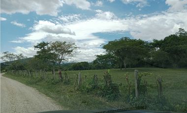 Finca San Pedro Anapoima