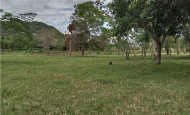 Finca San Pedro Anapoima
