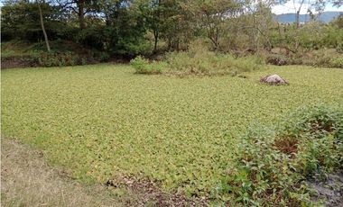 Finca San Pedro Anapoima