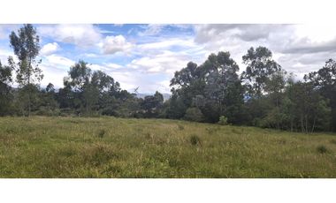 Vende Lote Sabana Alta, Villa deLeyva