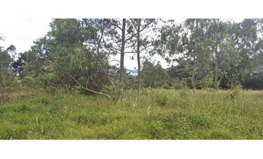 Vende Lote Sabana Alta, Villa deLeyva