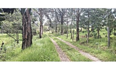 Vende Lote Sabana Alta, Villa deLeyva