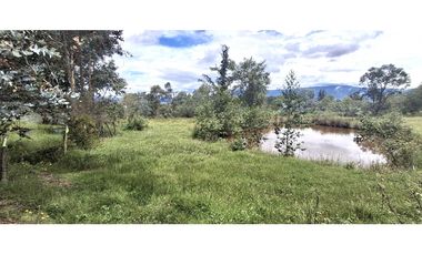 Vende Lote Sabana Alta, Villa deLeyva