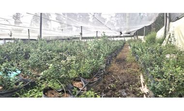 Venta Lote Vereda Sabana Alta, Villa de Leyva