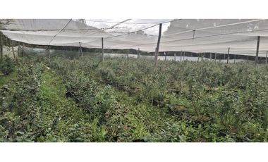 Venta Lote Vereda Sabana Alta, Villa de Leyva