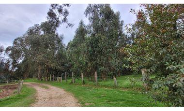 Venta Casa Campestre con pesebrera Chia