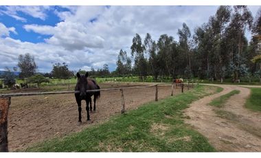 Venta Casa Campestre con pesebrera Chia