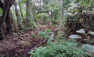 Parcela en Venta en Sector Saltos del Laja