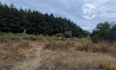 Parcela en Venta en Sector Saltos del Laja