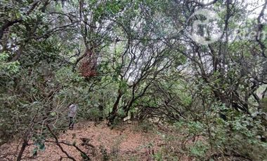 Parcela en Venta en Sector Saltos del Laja